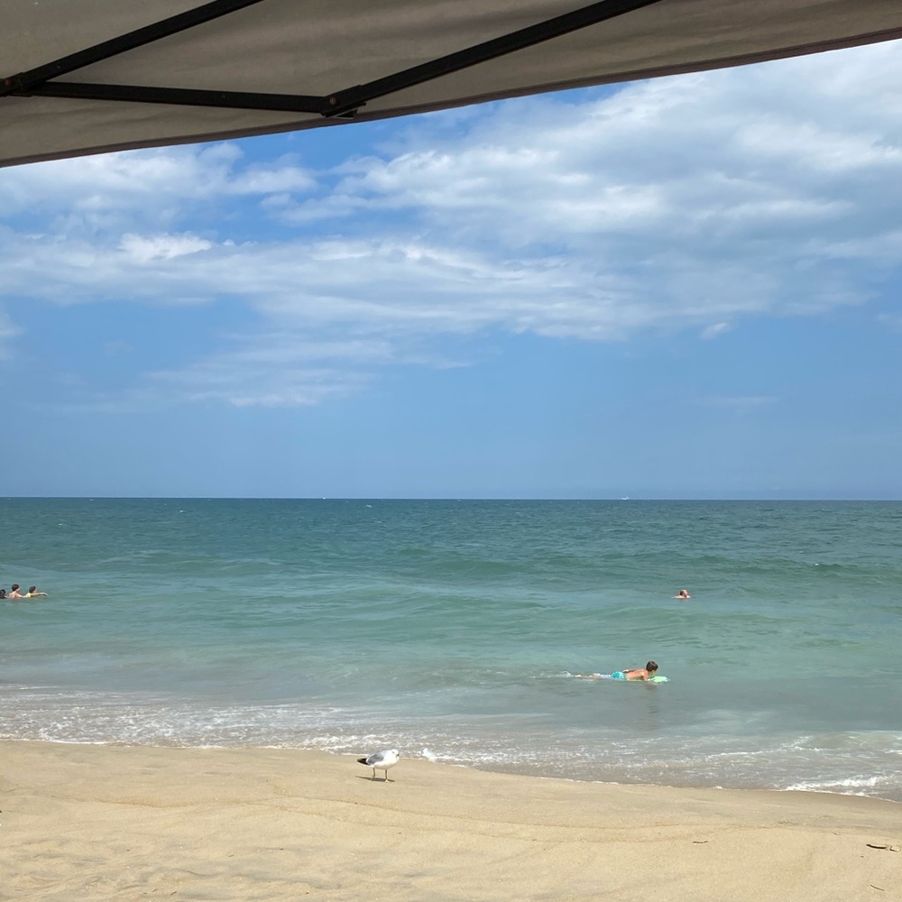 Meet your Posher, Charles